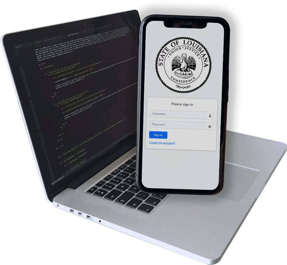 State of Lousiana custom application